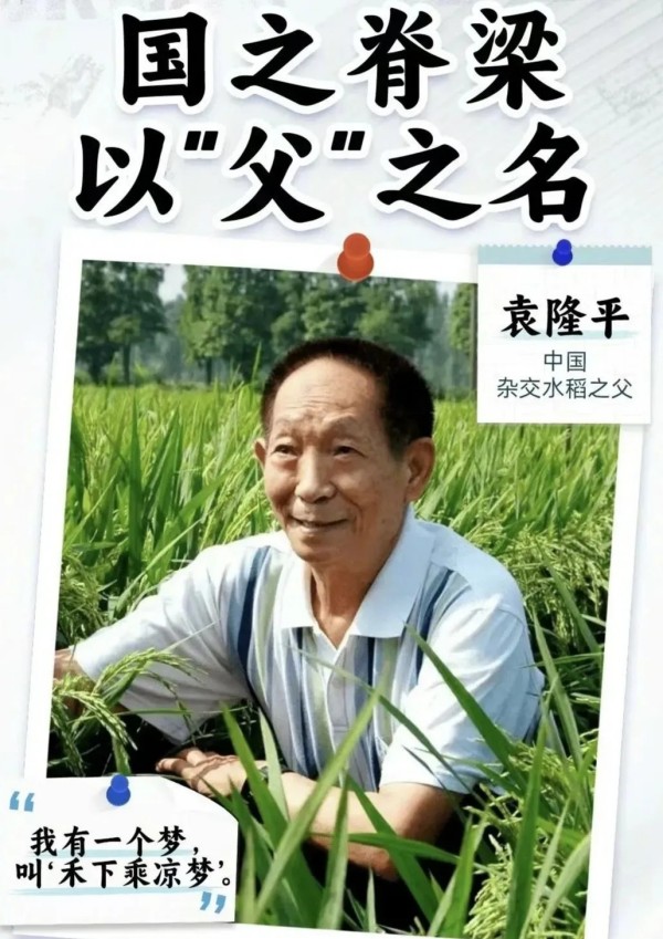 岳陽市江南通信職業技術學校有限公司,岳陽江南學校,岳陽江南通信學校,岳陽職業學校